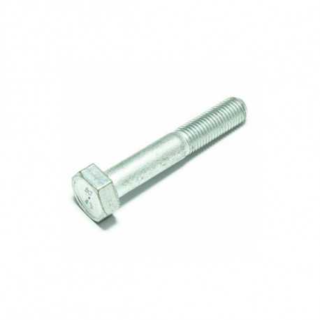 Skrutka M10x1,25x60 00001001288031